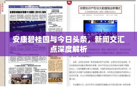 安康碧桂园与今日头条,新闻交汇点深度解析