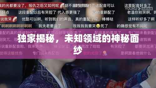 独家揭秘,未知领域的神秘面纱