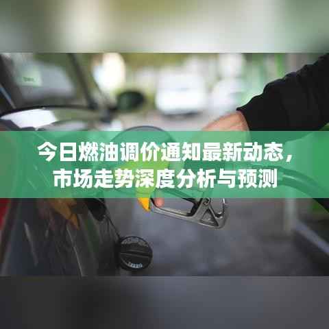 今日燃油调价通知最新动态,市场走势深度分析与预测