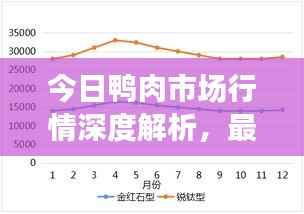 今日鸭肉市场行情深度解析,最新价格走势分析