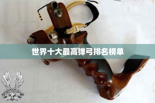 qinshouyimei 第9页