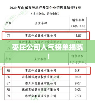 枣庄公司人气榜单揭晓!