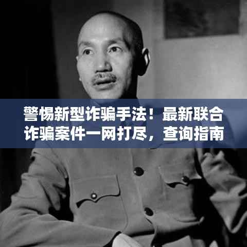 警惕新型诈骗手法!最新联合诈骗案件一网打尽,查询指南助你防范风险