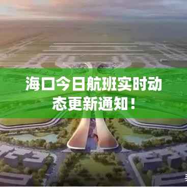 海口今日航班实时动态更新通知！