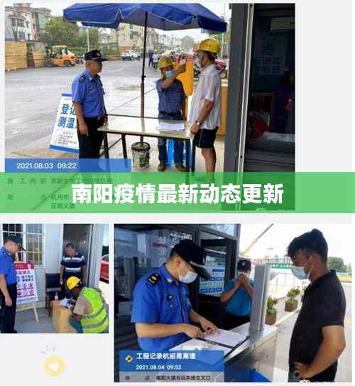 南阳疫情最新动态更新