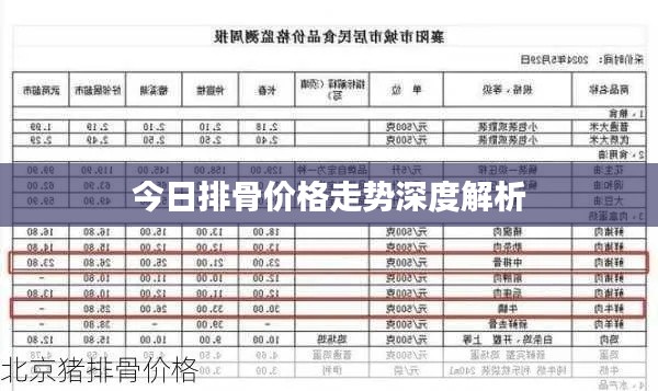今日排骨价格走势深度解析