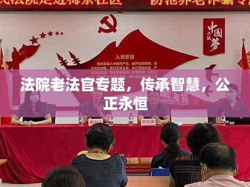 法院老法官专题,传承智慧,公正永恒