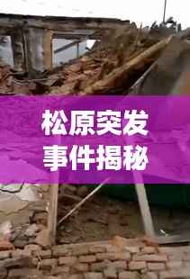 松原突发事件揭秘,最新动态与应对情况揭秘!