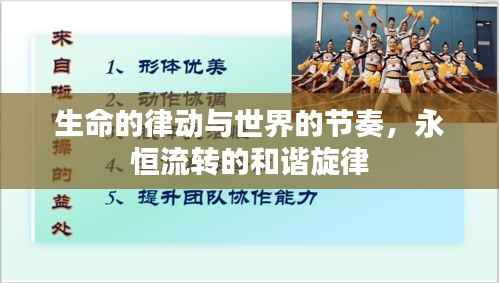 生命的律动与世界的节奏，永恒流转的和谐旋律