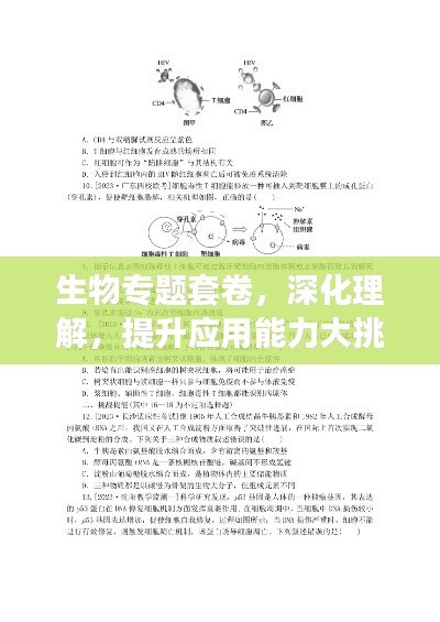 生物专题套卷,深化理解,提升应用能力大挑战