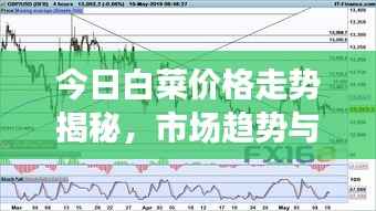 今日白菜价格走势揭秘,市场趋势与消费者反应观察