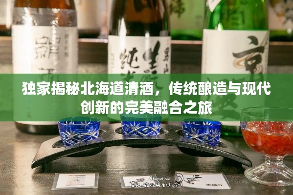 独家揭秘北海道清酒,传统酿造与现代创新的完美融合之旅