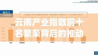 云南产业指数前十名繁荣背后的推动力揭秘