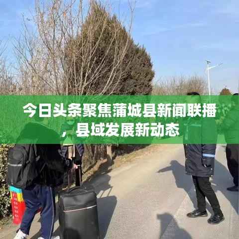 今日头条聚焦蒲城县新闻联播,县域发展新动态