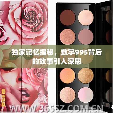 独家记忆揭秘,数字995背后的故事引人深思
