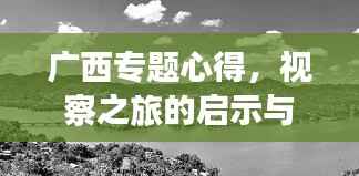 广西专题心得，视察之旅的启示与深度思考