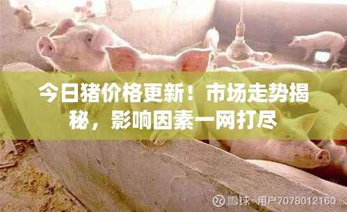 今日猪价格更新!市场走势揭秘,影响因素一网打尽