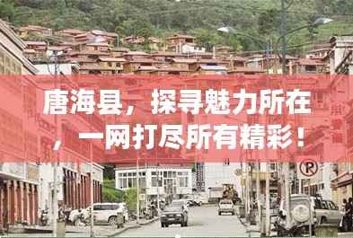 唐海县,探寻魅力所在,一网打尽所有精彩!