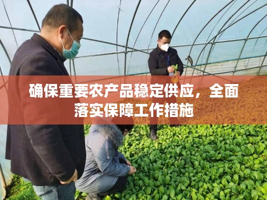 确保重要农产品稳定供应,全面落实保障工作措施