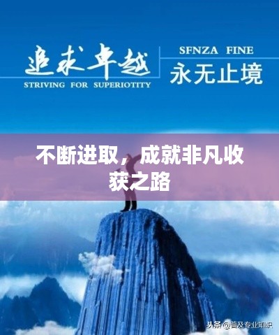 不断进取，成就非凡收获之路