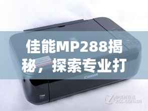 走马观花 第5页