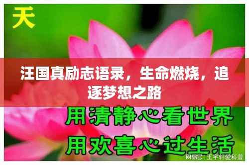 汪国真励志语录，生命燃烧，追逐梦想之路